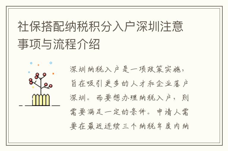 社保搭配纳税积分入户深圳注意事项与流程介绍