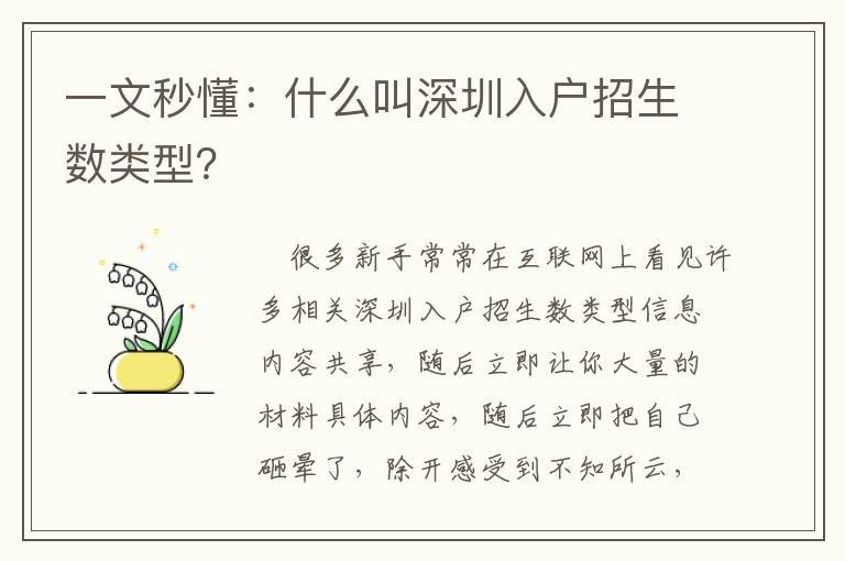 一文秒懂：什么叫深圳入户招生数类型？