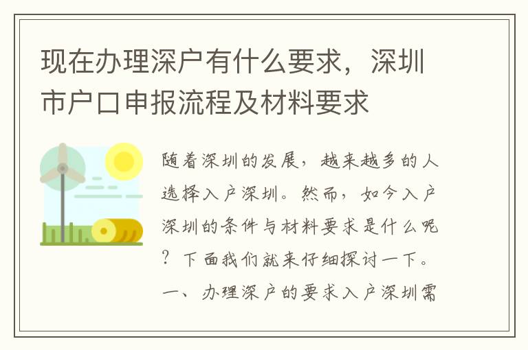 现在办理深户有什么要求，深圳市户口申报流程