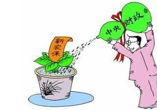 新农保怎么缴费？