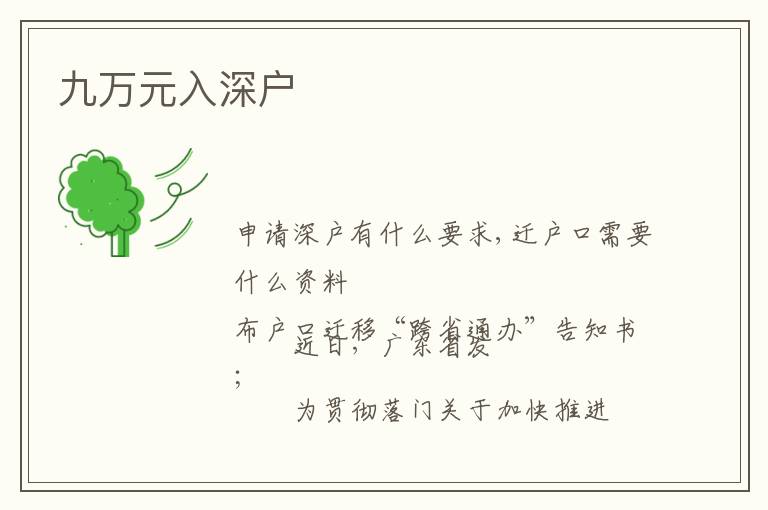 九万元入深户