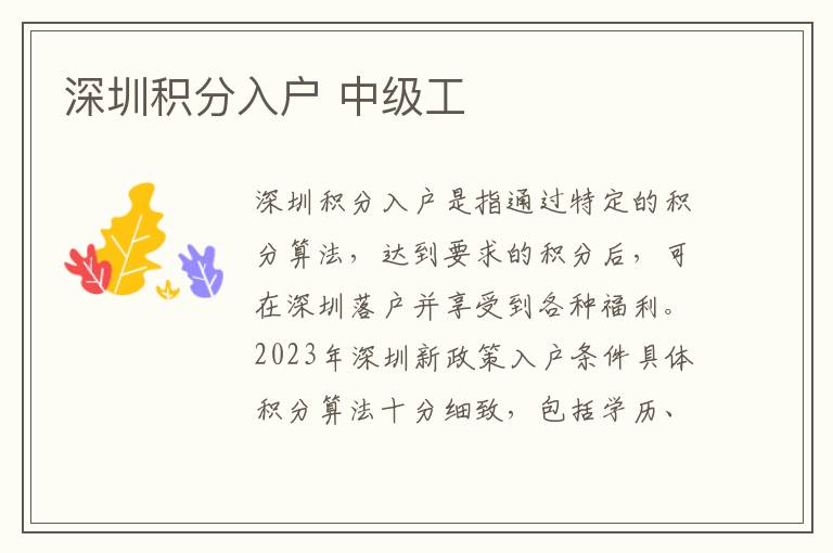 深圳积分入户 中级工