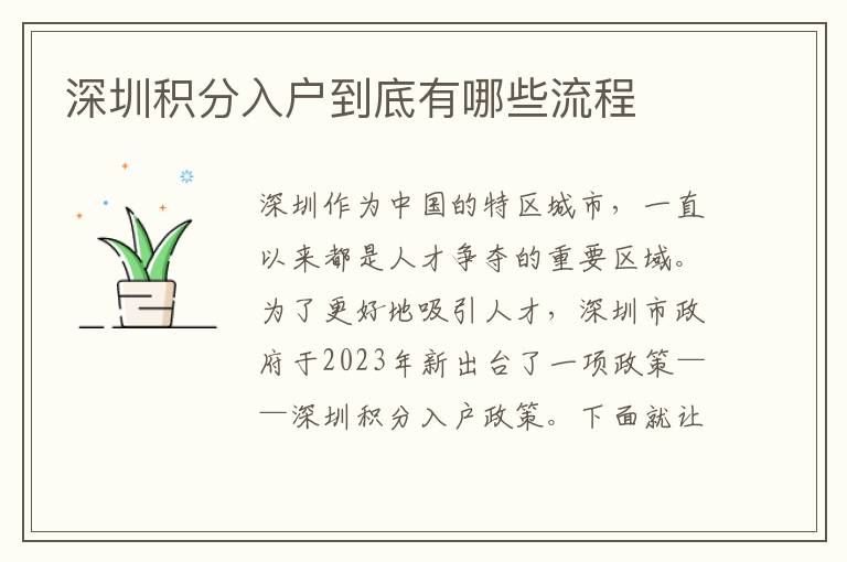 深圳积分入户到底有哪些流程