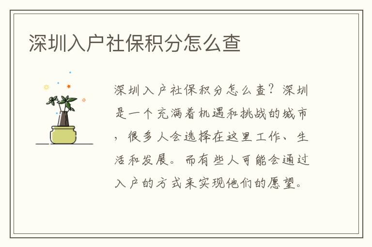 深圳入户社保积分怎么查