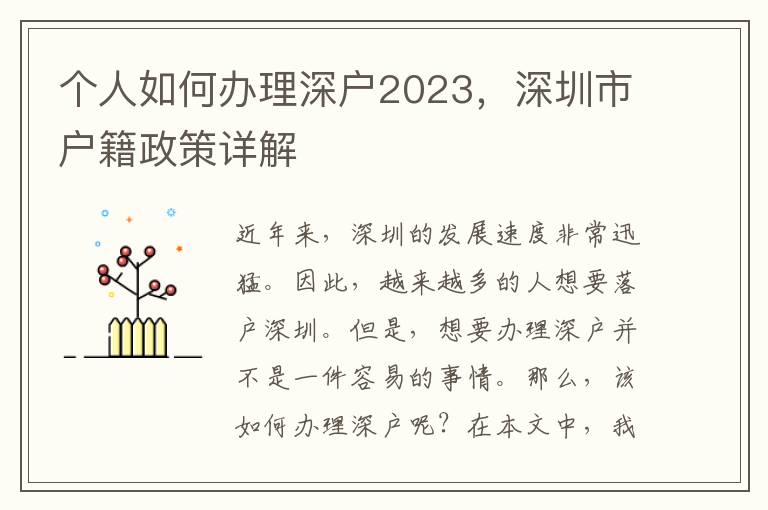 个人如何办理深户2023，深圳市户籍政策详解