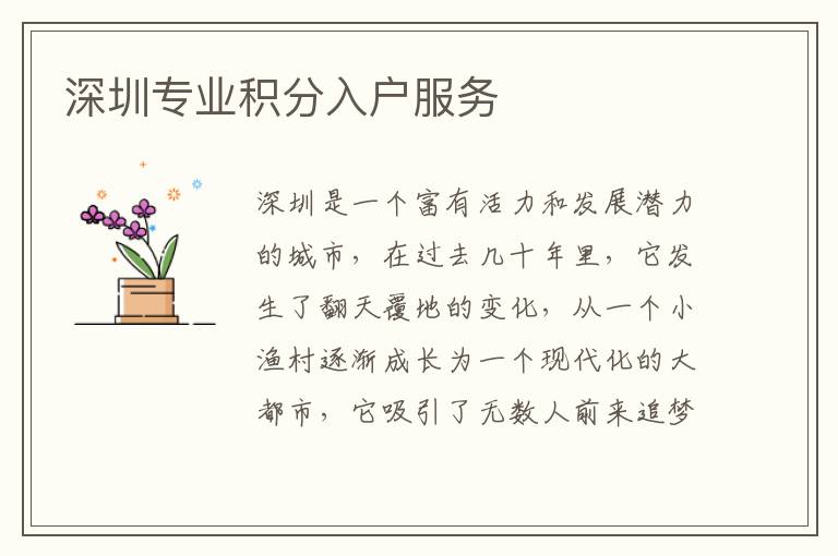 深圳专业积分入户服务