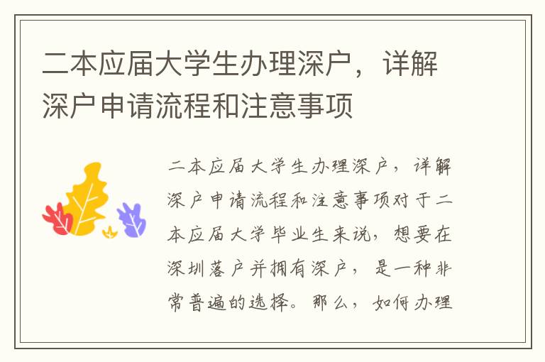 二本应届大学生办理深户，详解深户申请流程和注意事项