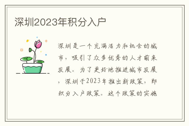 深圳2023年积分入户