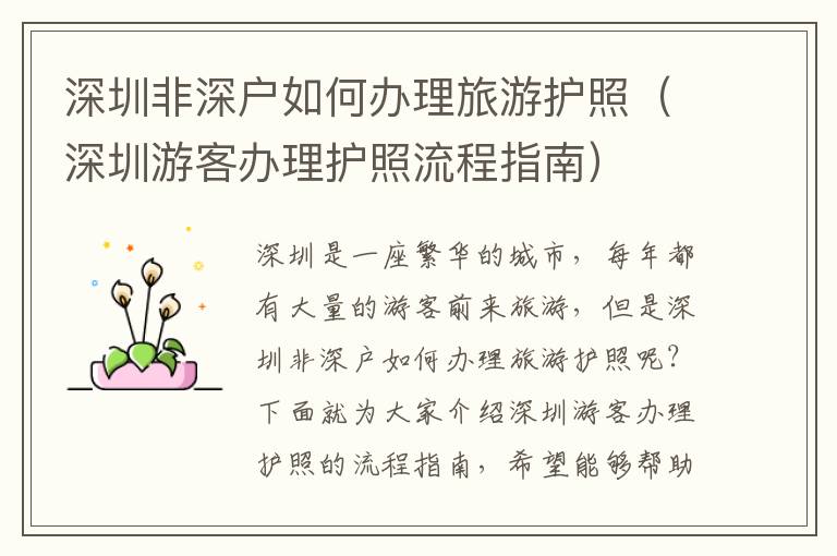 深圳非深户如何办理旅游护照（深圳游客办理护照流程指南）