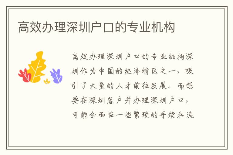 高效办理深圳户口的专业机构