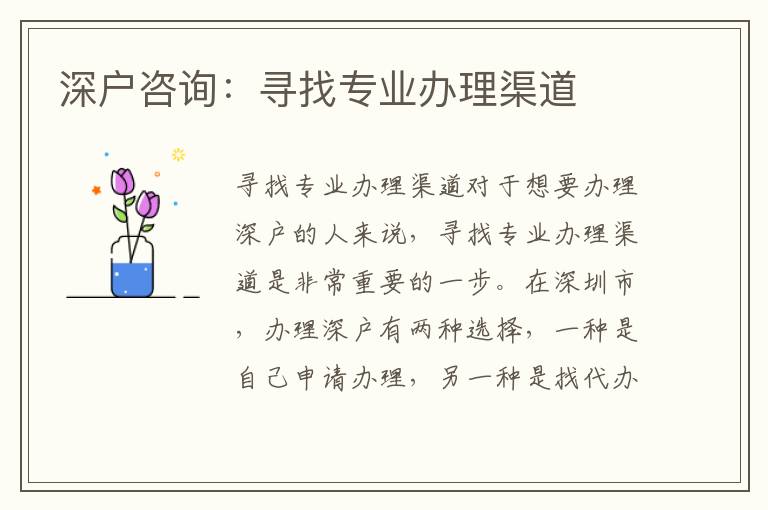 深户咨询：寻找专业办理渠道