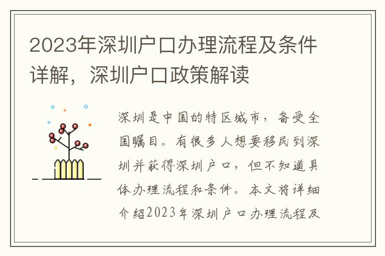 2023年深圳户口办理流程及条件详解，深圳户口政策解读