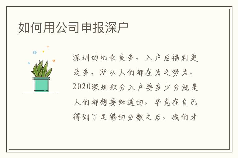如何用公司申报深户