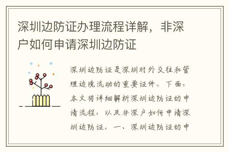 深圳边防证办理流程详解，非深户如何申请深圳