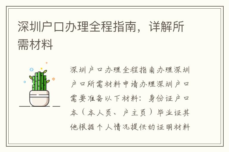 深圳户口办理全程指南，详解所需材料