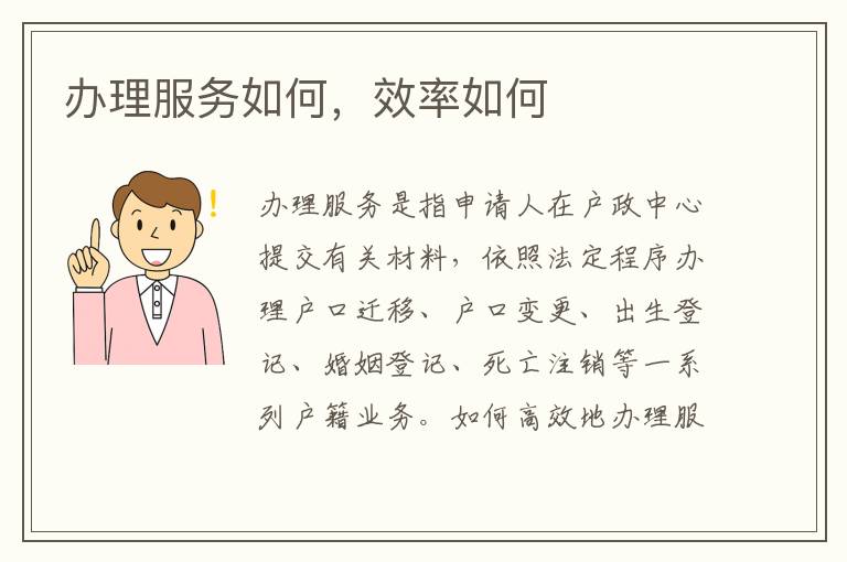 办理服务如何，效率如何
